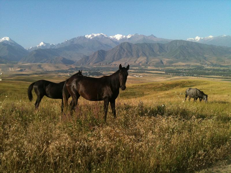 20110722_Bishkek 066.JPG